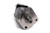 Hydro Custom BM5 Series Hydraulic Motor - 30.4 (500) Displ., SAE 10 Ports, 1” Straight Shaft