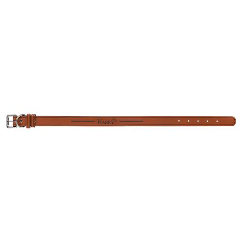 Large 23" x 1" Rawhide Laserable Leatherette Dog Collar — supplier item before personalization