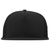 Branded Bill Bare Flat 5 Panel Trucker 555-02T