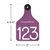 Custom Engraved Ritchey Ear Tag Purple/White