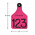 Custom Engraved Ritchey Ear Tag Pink/Black