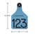 Custom Engraved Ritchey Ear Tag Lt.Blue/Black