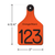 Custom Engraved Ritchey Ear Tag Orange/Black