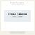 Custom Vinyl Lettering — original illustrative mockup. Sample artwork only; select your size and package quantity and supply your own design.
