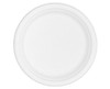 Plate Sugarcane Round 10" (230mm) Plate Sugarcane Round 10" (230mm)