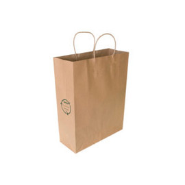 Paper Bag Medium Twist Handle