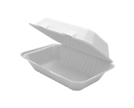 Sugarcane Clamshell 9x6 inch