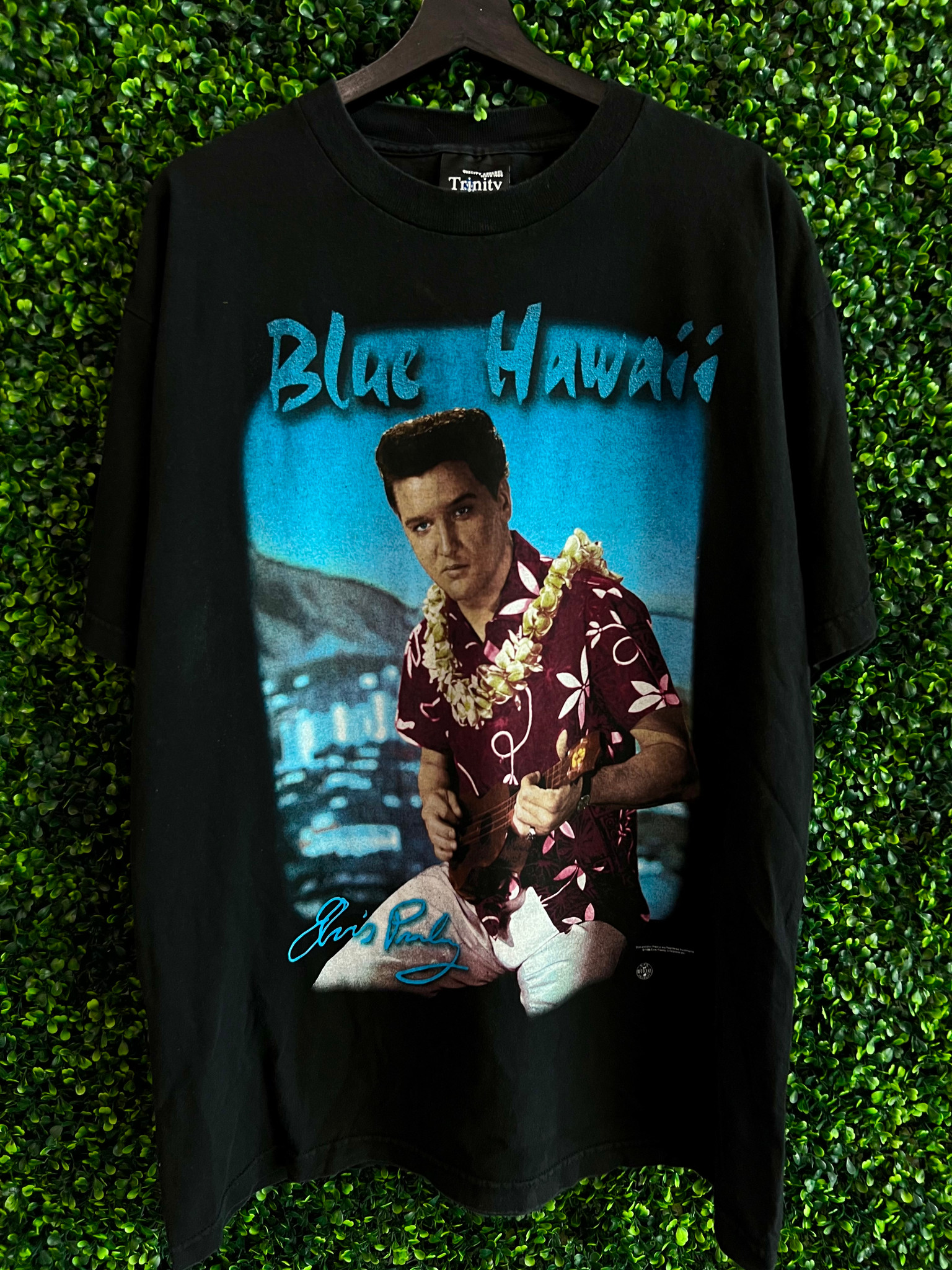 Liquid Blue, Shirts, Vintage Liquid Blue Puckhead St Louis Blues Tshirt  Xl