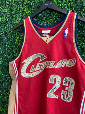 ERIC EMANUEL LEBRON JAMES CLEVELAND CAVALIERS AUTHENTIC MITCHELL NESS SNAKESKIN CUSTOM JERSEY