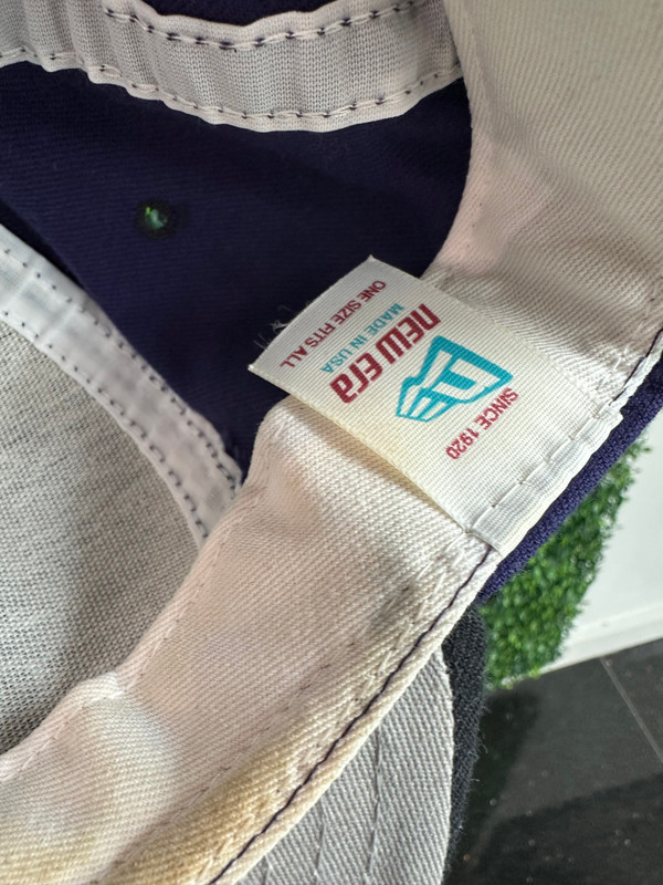 VINTAGE ARIZONA DIAMONDBACKS SPRING TRAINING '98 NEW ERA SNAPBACK