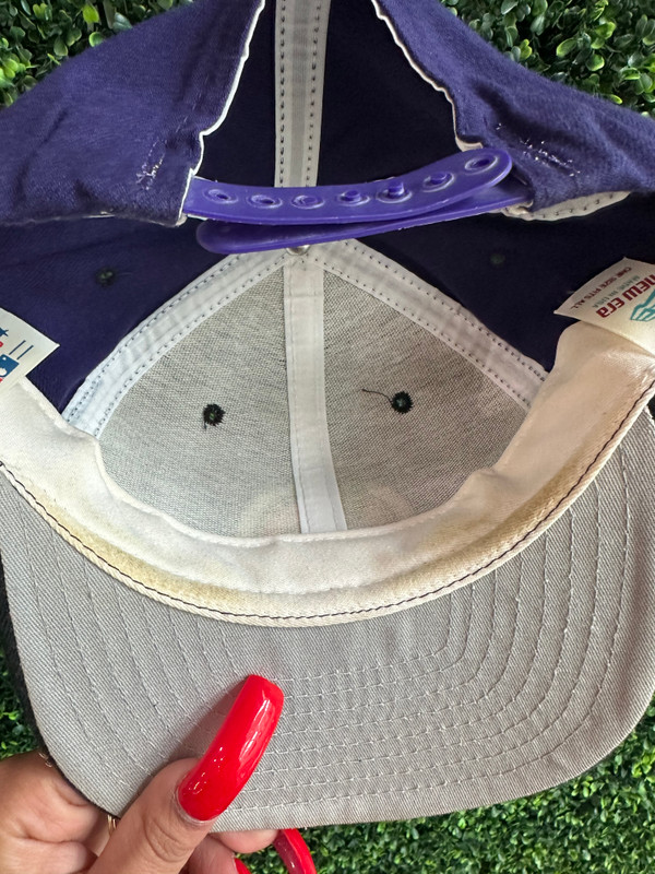 VINTAGE ARIZONA DIAMONDBACKS SPRING TRAINING '98 NEW ERA SNAPBACK