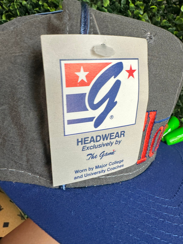 DEADSTOCK VINTAGE FLORIDA GATORS THE GAME SNAPBACK