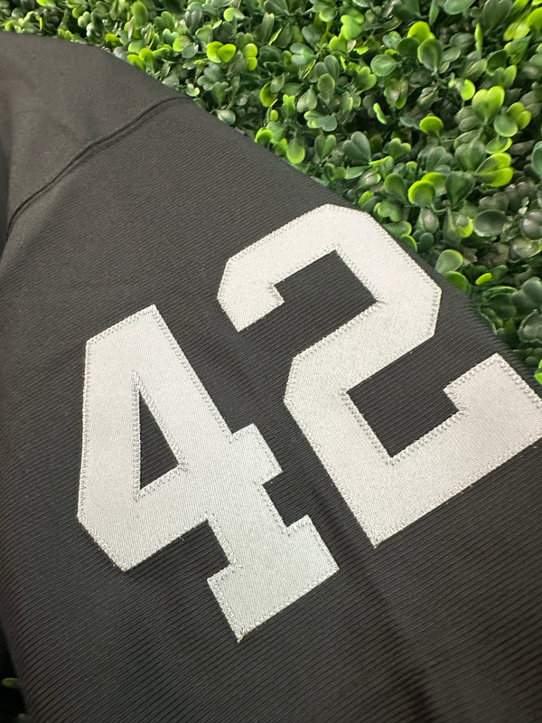 BRAND NEW RONNIE LOTT OAKLAND RAIDERS MITCHELL & NESS JERSEY