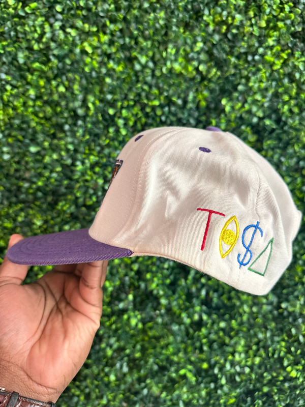 RARE VINTAGE PHOENIX SUNS TISA SNAPBACK