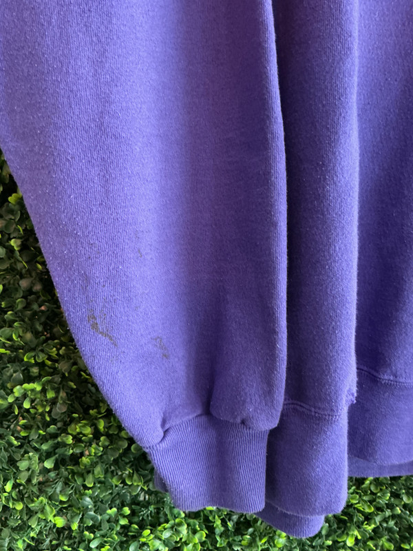 VINTAGE RUTGERS GANG CHAMPION CREWNECK