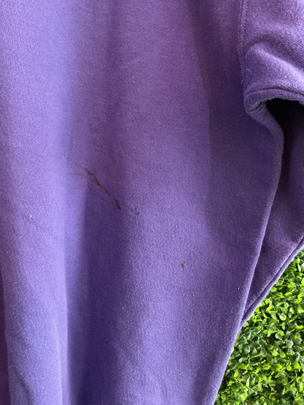 VINTAGE RUTGERS GANG CHAMPION CREWNECK