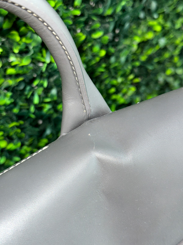 GOYARD PM STEAMER BAG