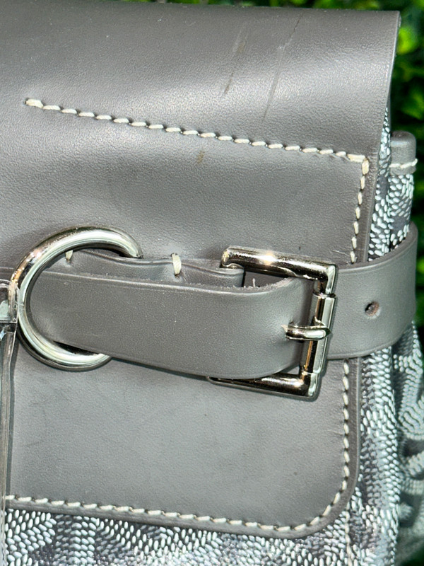 GOYARD PM STEAMER BAG