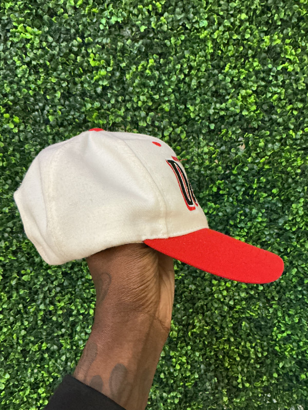 VINTAGE NEW JERSEY DEVILS TWINS ENTERPRISES SNAPBACK