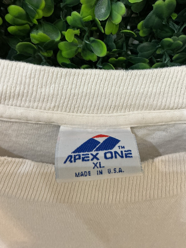 RARE VINTAGE APEX ONE 1994 COMPANY PICNIC TEE
