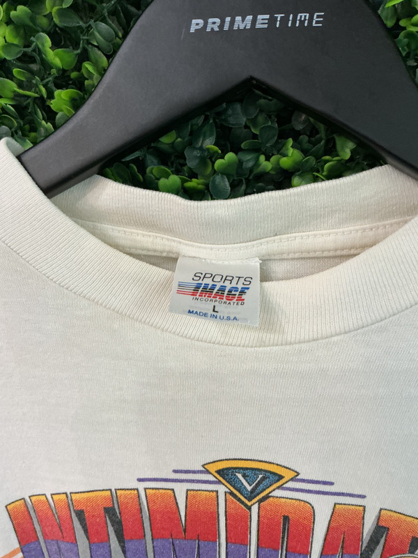 VINTAGE DALE EARNHARDT WINSTON CUP CHAMP TEE
