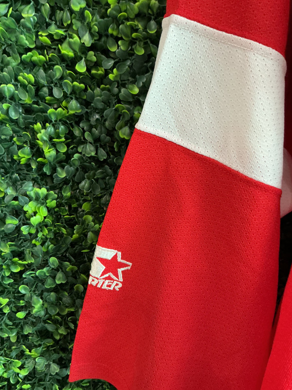 DEADSTOCK VINTAGE DETROIT RED WINGS STARTER JERSEY