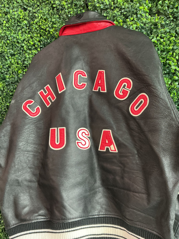 AVIREX LIMITED EDITION CITY SERIES CHICAGO JACKET