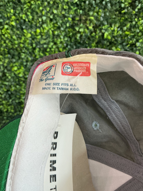 DEADSTOCK VINTAGE MICHIGAN STATE THE GAME SNAPBACK