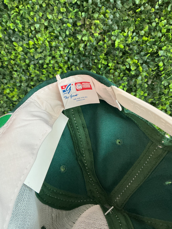DEADSTOCK VINTAGE MICHIGAN STATE GREEN THE GAME SNAPBACK