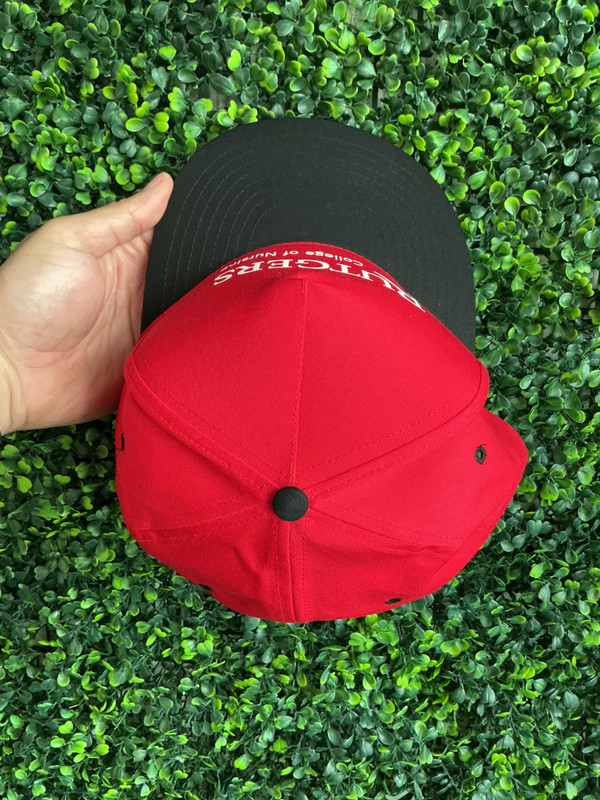 VINTAGE RUTGERS COLLEGE OF NURSING NISSIN SNAPBACK