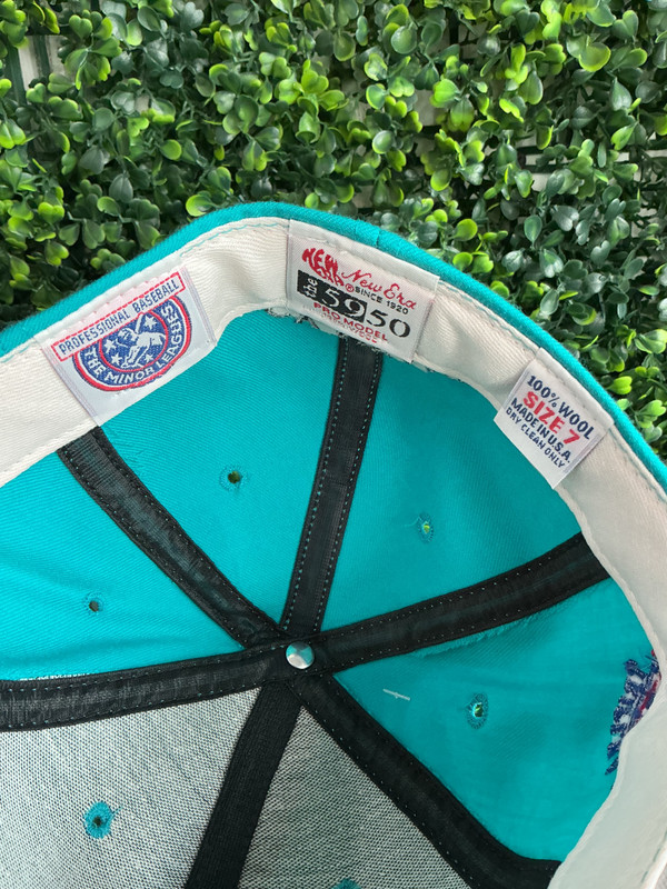DEADSTOCK VINTAGE 1995 TRIPLE A  ALL STAR GAME NEW ERA SNAPBACK