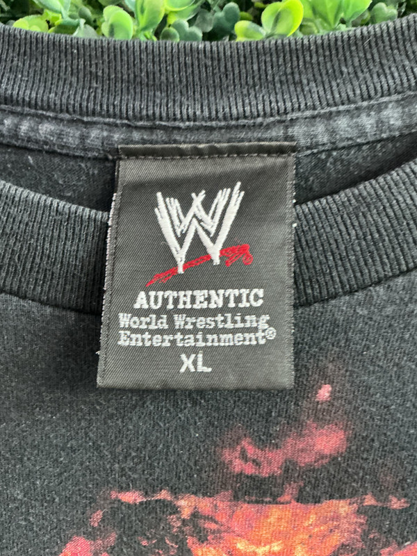 VINTAGE UNDERTAKER HELLS GATE TEE