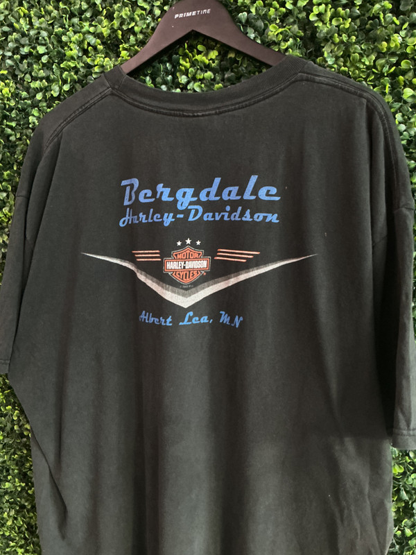 VINTAGE HARLEY DAVIDSON BERGDALE ALBERT LEA MN TEE