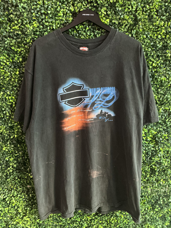 VINTAGE HARLEY DAVIDSON BERGDALE ALBERT LEA MN TEE