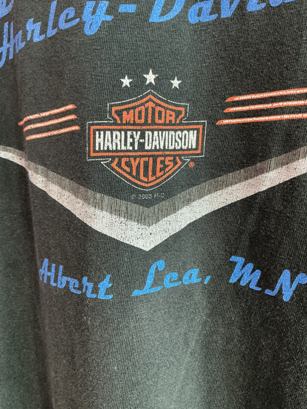 VINTAGE HARLEY DAVIDSON BERGDALE ALBERT LEA MN TEE