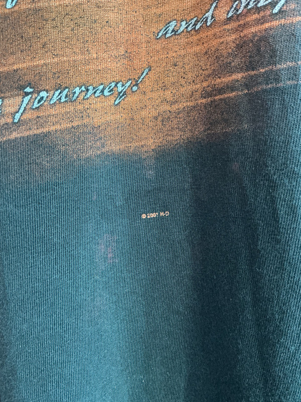 VINTAGE HARLEY DAVIDSON BERGDALE ALBERT LEA MN TEE
