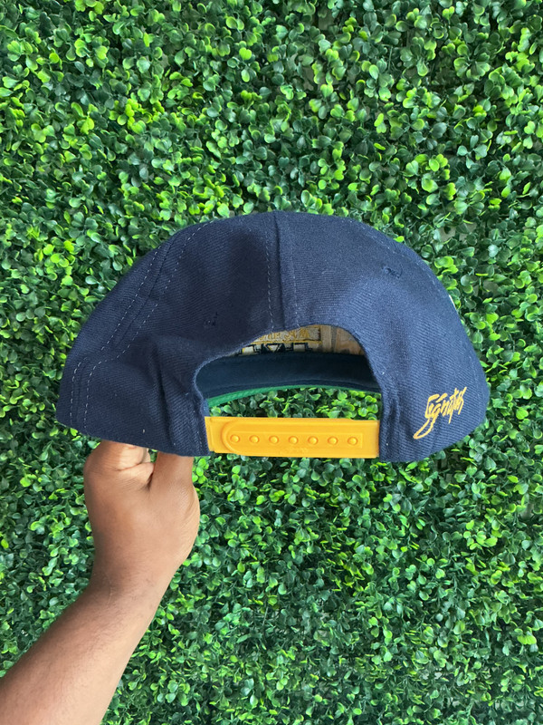 VINTAGE MICHIGAN SIGNATURES SNAPBACK