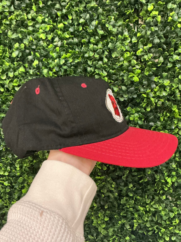 VINTAGE MAD DOG SNAPBACK