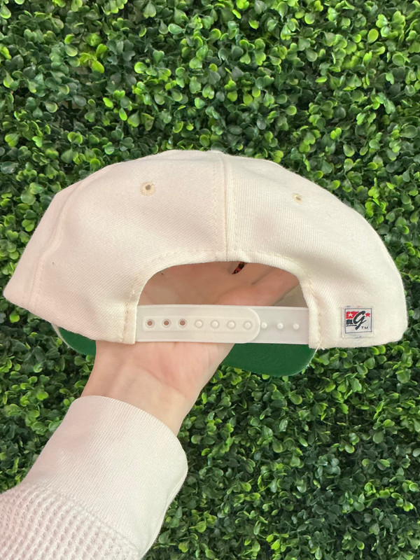 VINTAGE ILLINOIS FIGHTING ILLINI THE GAME SNAPBACK