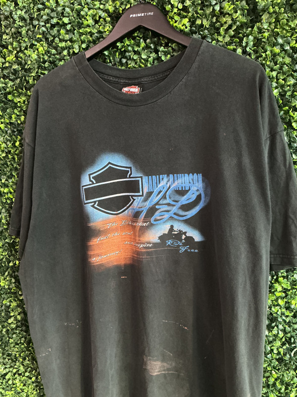 VINTAGE HARLEY DAVIDSON BERGDALE ALBERT LEA MN TEE