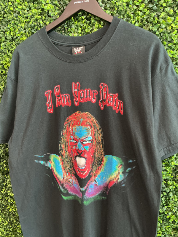 VINTAGE TRIPLE H WWF 'YOU CANT TAKE ME' TEE