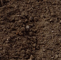 Topsoil & Compost