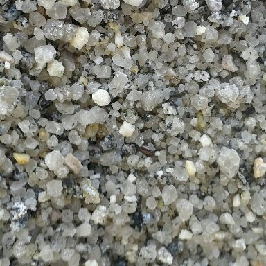 Coarse Silver Sand (Horticultural Grit) Willis & Ainsworth Ltd