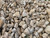 100 - 200mm 6G Gabion