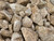 Gabion