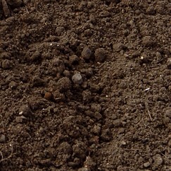 Topsoil & Compost