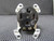 ARROW HART 5744 30A 120/250V FLUSH MOUNT RECEPTACLE WITHOUT GALVANIZED COVER