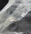 TURCK RSM RKM 579-19M 7/8" U5450-19 NETWORK MINIFAST CORDSET - FACTORY SEALED
