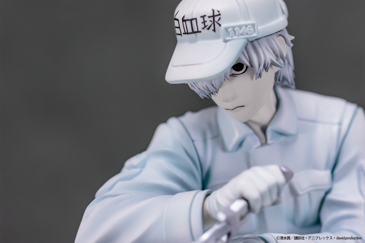 Cells at work, white blood cell, U-1146