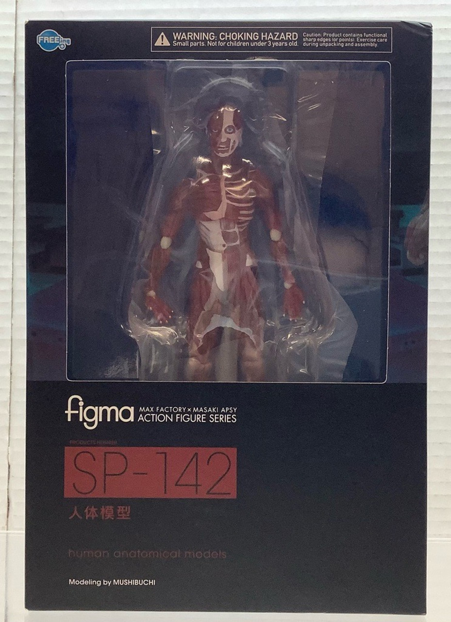 figma 人体模型 SP-142 FREEing フリーイング 男性ボディ 素体
